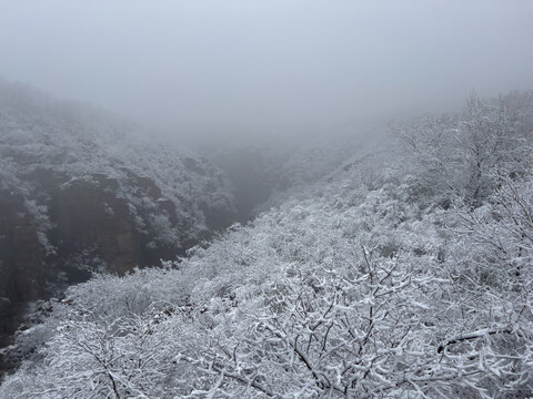 云台山雪景