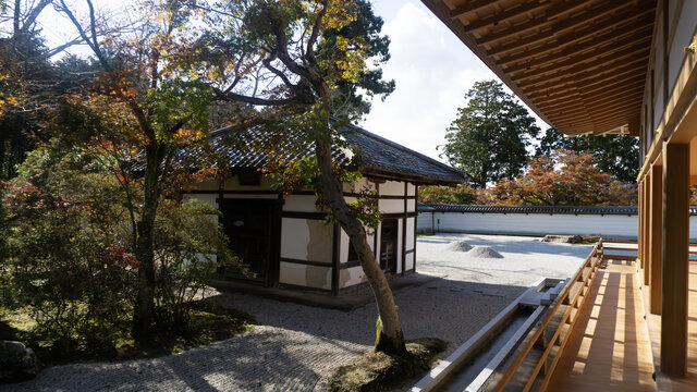 坐看枯山水庭院