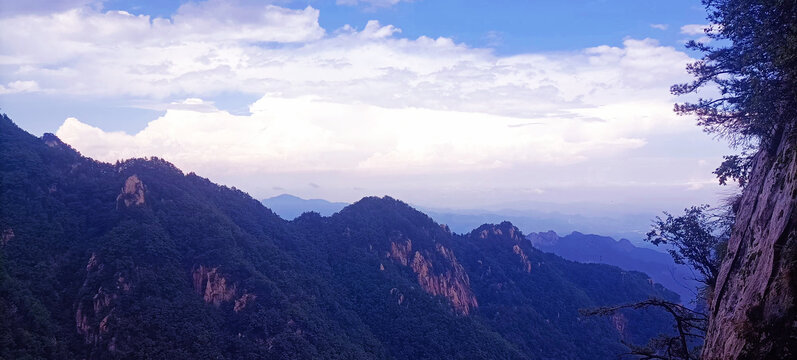 风景