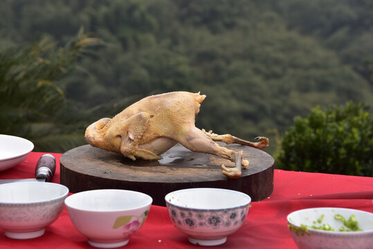 野山鸡