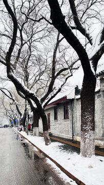 北京故宫雪景