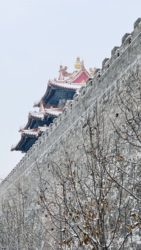 北京故宫雪景