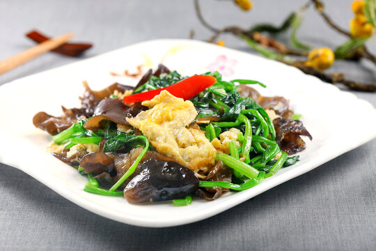 菠菜木耳炒蛋