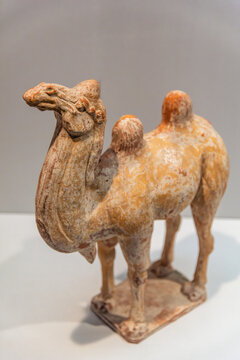 陕西历史博物馆的唐彩绘陶骆驼