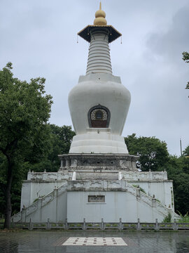 瘦西湖夏景白塔雨后