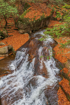 光雾山水