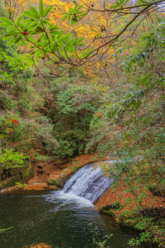 光雾山水