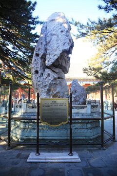 颐和园寿星石