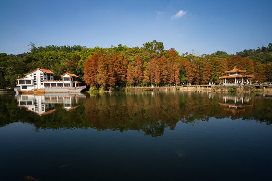 深圳仙湖植物园