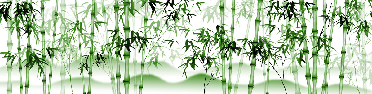 巨幅竹子图