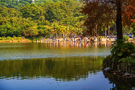 仙湖湖景