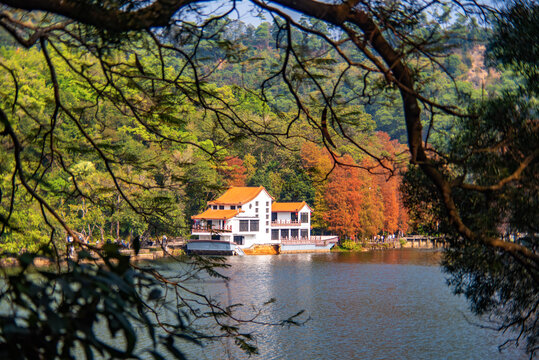 仙湖秋景