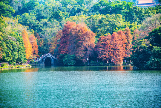 仙湖秋景