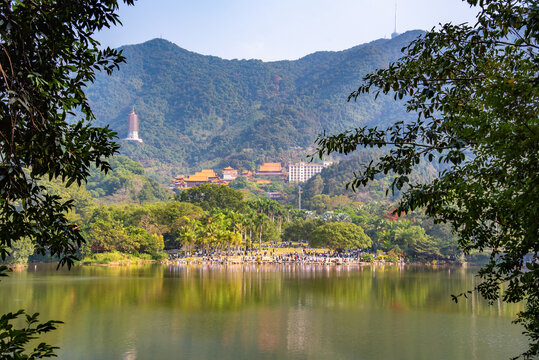 仙湖岸边