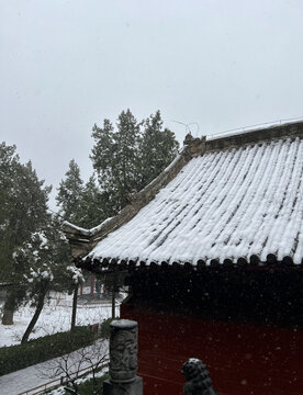 白马寺下雪景