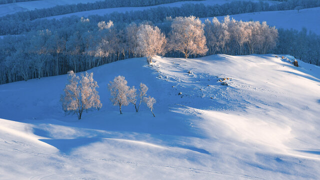 北方冬季雪景