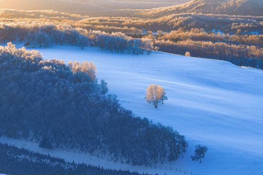 北方冬季雪景