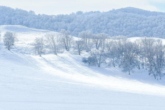 北方冬季雪景