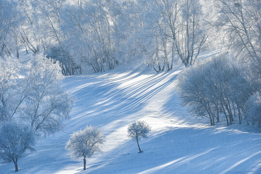 北方冬季雪景雾凇