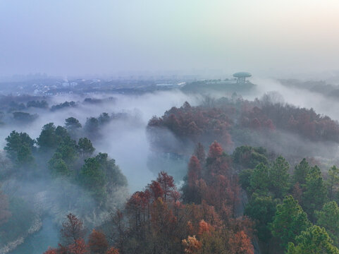 云雾下的杭州西溪显地公园