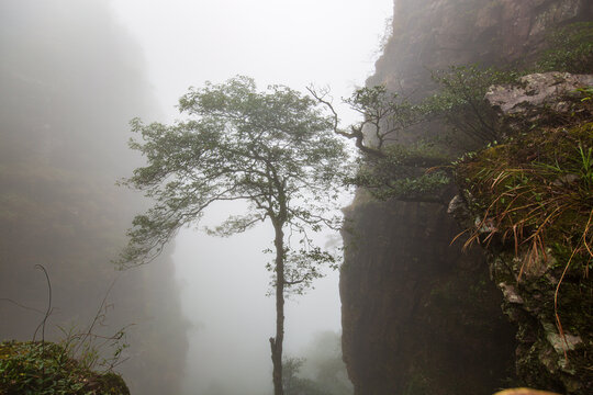 北帝山旅游风景区