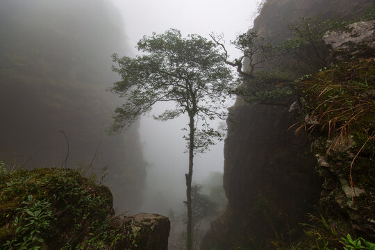 北帝山景区山涧风光