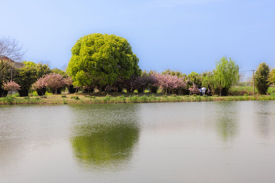 苏州花卉植物园