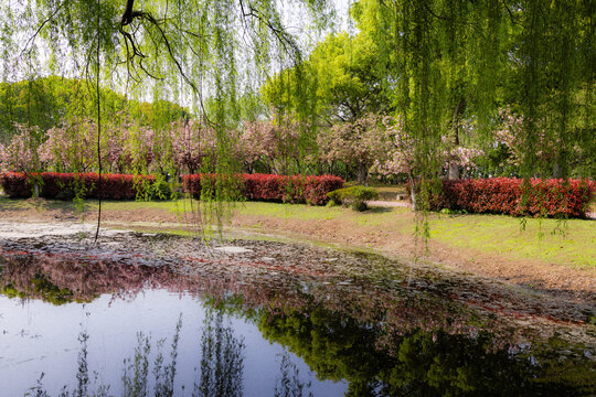 苏州花卉植物园