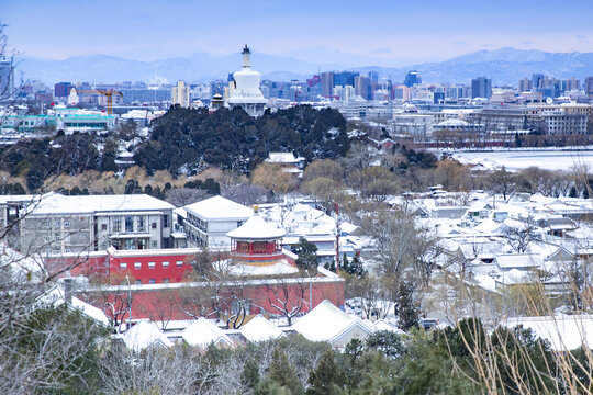 冬雪