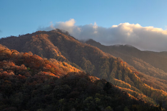 四川平武报恩寺明代建筑