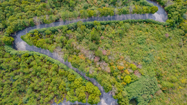 苏州东山莫厘峰山路秋色