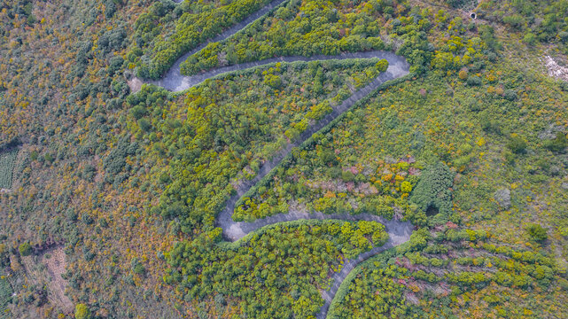 苏州东山莫厘峰山路秋色