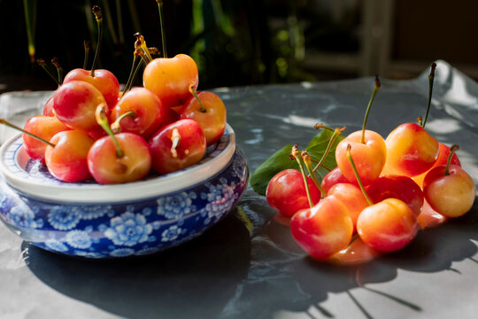 青花瓷茶具逆光智利车厘子