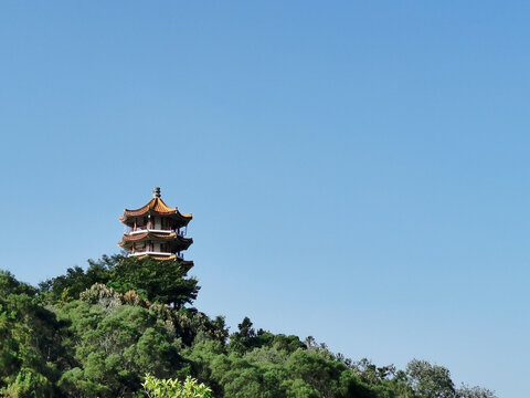 深圳仙湖植物园一角