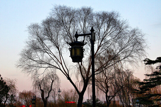大明湖畔中国风路灯