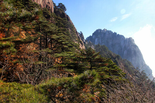 黄山美景黄山旅游