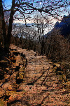 黄山登山路