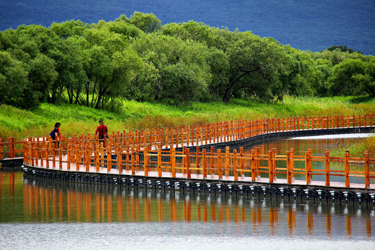 黑瞎子岛湿地木栈道