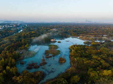 杭州西溪湿地秋色