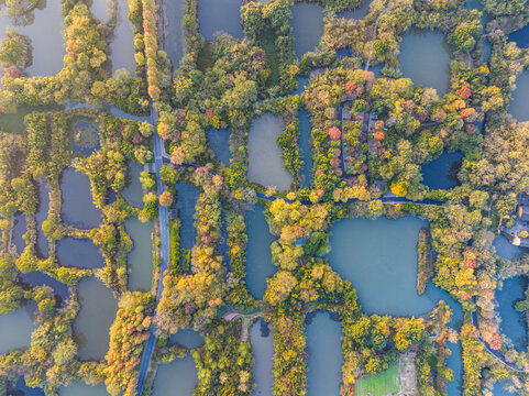 杭州西溪湿地秋色