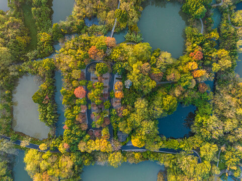杭州西溪湿地秋色
