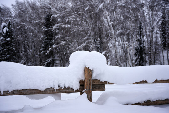 雪