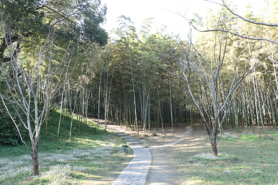 苏州虎丘山风景区