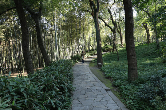 苏州虎丘山风景区