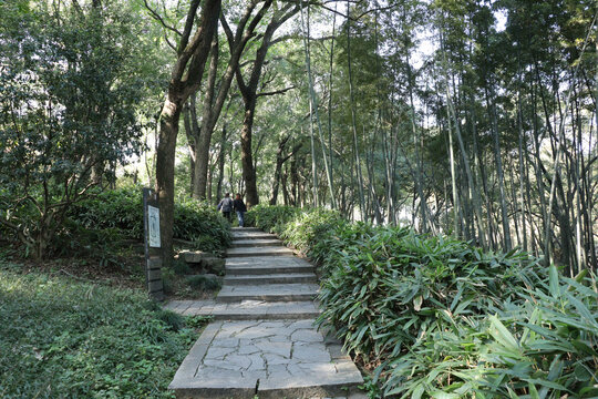 苏州虎丘山风景区