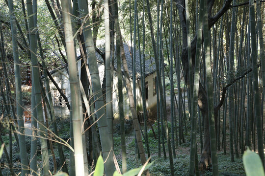 苏州虎丘山风景区