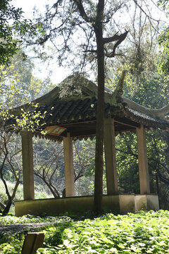 苏州虎丘山风景区