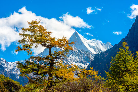 央迈勇雪山