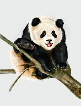 可爱卡通大熊猫手绘插画