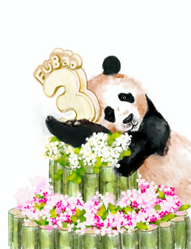 大熊猫生日场景插画